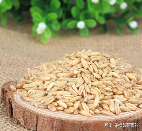 燕麦 营养师揭秘健康谷物的卓越益处