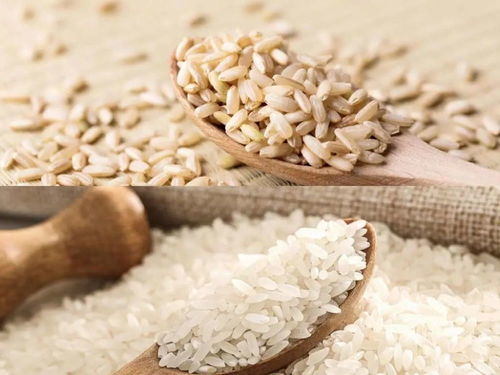 有关全谷物的这5个问题，你真的清楚吗？