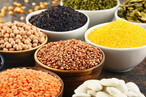 全谷物 餐桌上的“健康卫士”，专家详解其防治富贵病的多重益处