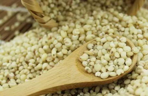 天然谷物饵料制作全攻略 取材自然，渔获满仓